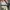 CONVERSE ONE STAR  photo 6