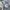 JACKET JEANS DENIM PAGEBOY TYPE II photo 6