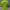 T-shirt Fruit of the loom Buildup Import Original Honduras photo 3