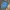 Light Blue Denim Trucker Jacket photo 2
