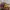 Snapback HD Fly Your Dream photo 2