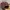 Snapback HD Fly Your Dream photo 3