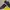 Sepatu Casual Skecher Ori photo 3
