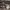Adidas Duramo Speed RC photo 1