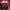 Nike Dunk Low Retro Team Red Original photo 4