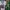 Jersey NFL College Player Version Original 2 Pcs photo 1