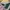 Jersey NFL College Player Version Original 2 Pcs photo 6