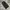 BAGGY PANTS POLHAM BLACK FADED photo 6