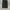 BAGGY PANTS POLHAM BLACK FADED photo 5
