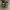 Nike Casual Sneakers Wanita green photo 3