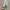 Converse Chuck 70 OX Vernal Pool photo 3