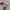 Converse Chuck 70 OX Vernal Pool photo 4