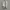 Converse Chuck 70 OX Vernal Pool photo 2