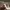 Vintage Streetwear Hat Pria white photo 6