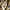 Michael Kors Emilia large tote bag photo 2