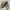 Ori durkenstock sendal heels wanita new photo 1
