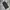 BAGGY PANTS UNBRAND photo 6
