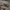 Vintage Streetwear Hat Pria tan photo 3