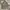 JACKET PARKAS ARMY ALLIX DESIGN WEAR photo 1