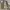 JACKET PARKAS ARMY ALLIX DESIGN WEAR photo 2