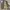 JACKET PARKAS ARMY ALLIX DESIGN WEAR