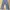 Ankle pants ribbed jeans photo 1