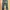 Zara Green Camo Army Capri Pants