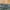 Zara Green Camo Army Capri Pants photo 2