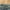 Zara Green Camo Army Capri Pants