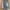 Zara TRF Denim Midi Skirt photo 1