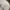 Military Hat 6 Panel Rokaf (Republic of Korea Air Force) photo 9