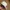Military Hat 6 Panel Rokaf (Republic of Korea Air Force) photo 7