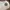 Military Hat 6 Panel Rokaf (Republic of Korea Air Force) photo 2