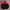 Adidas Vintage Casual Sweatshirt Pria black red photo 1