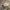 Converse Streetwear Sneakers Pria cream photo 2