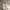 Converse Streetwear Sneakers Pria cream photo 1