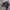 WHO.A.U Vintage Streetwear Track jacket Pria black photo 2