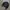 WHO.A.U Vintage Streetwear Track jacket Pria black photo 5