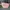 Brun brun paris pink bag photo 1