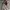 Brown outer photo 1