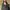 Portmans Blazer photo 4