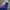 Uniqlo Streetwear Sportswear Windbreaker Pria navy photo 1