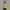 Jaket fashion warna lime photo 1
