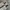 VANS AUTHENTIC STYLE 44 DX ANAHEIM ALOHA photo 4