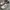 VANS BRUX WC photo 1