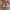 VANS BRUX WC photo 5