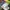Mont-bell gore-tex five panel hat photo 4