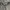 Cargo shortpants burberry photo 5