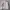 Casual Blouson suede jacket 8seconds photo 8