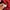 Jersey template admiral photo 5